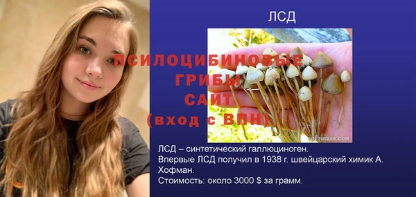 винт Аркадак