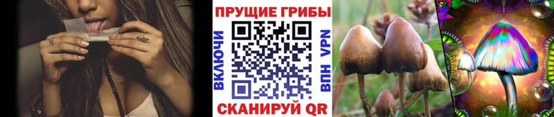 Галлюциногенные грибы GOLDEN TEACHER Никольск
